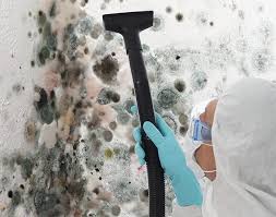 Why You Should Choose Our Mold Remediation Services in Chouteau, OK